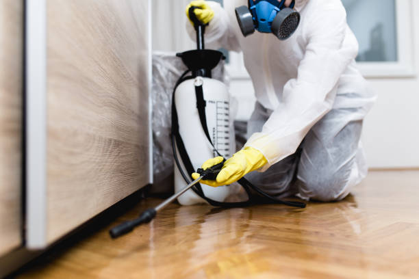 Wasp Removal Services in Rockport, IN