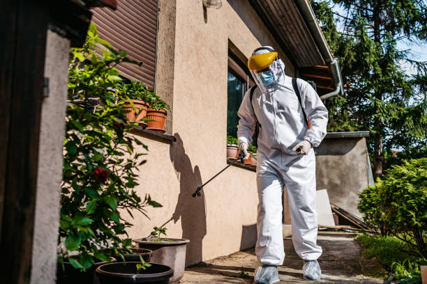 Best Mosquito Control Services  in Rockport, IN