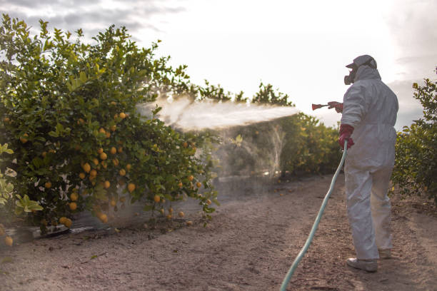 Best Commercial Pest Control Services  in Rockport, IN