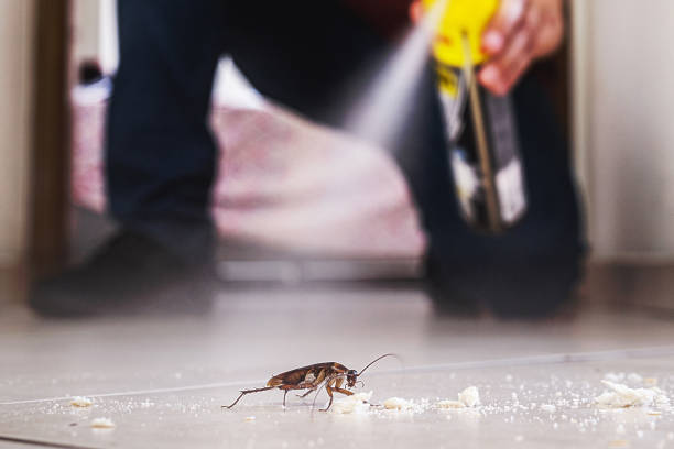 Best Best Pest Control Companies  in Rockport, IN